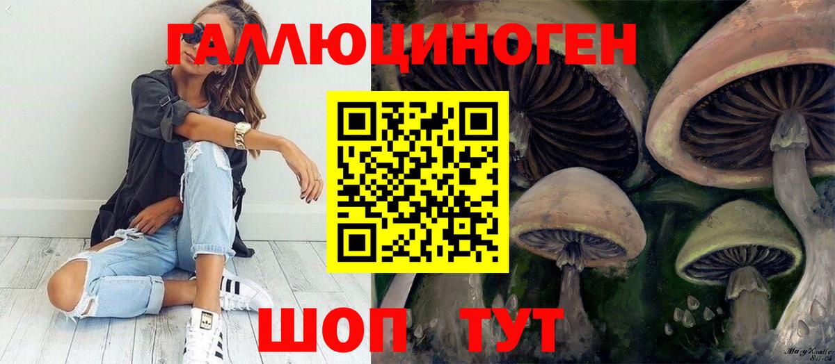 как найти наркотики  Вход с VPN  Гулькевичи  Галлюциногенные грибы мухоморы  Галлюциногенные грибы прущие грибы 