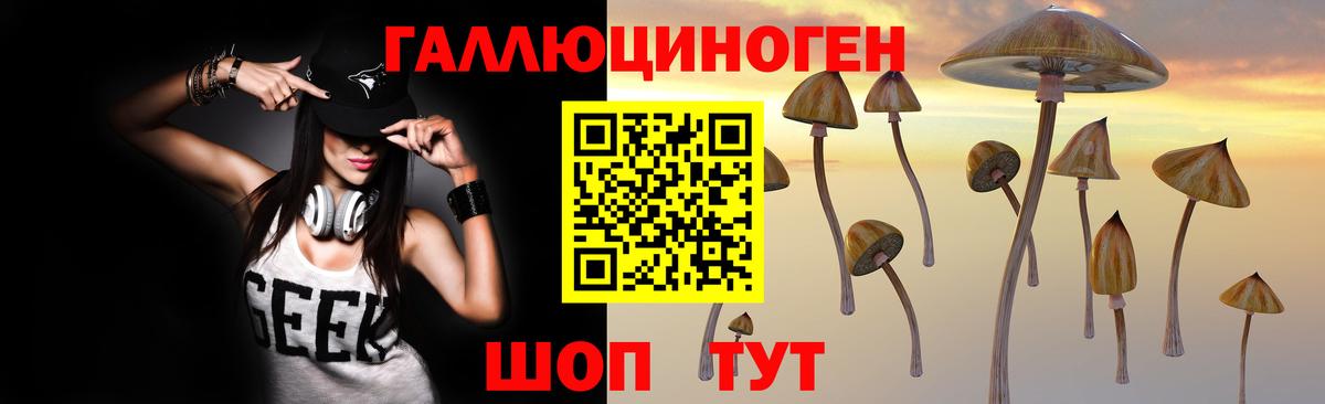 Псилоцибиновые грибы Psilocybine cubensis Гулькевичи